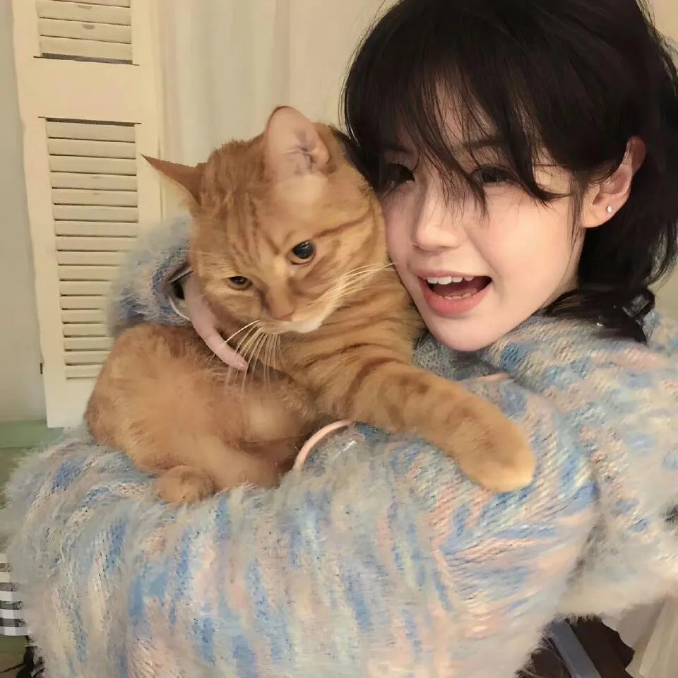 绝望主妇第四季